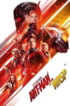 Ant Man and the Wasp (2018) Hindi (Org) Dual Audio [1.1GB] HD Poster Download - Filmyzilla
