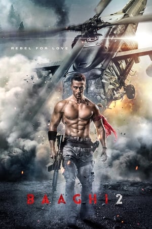 Baaghi 2 2018 Movie [700MB] HD Poster Download - Filmyzilla