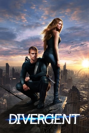 Divergent (2014) 100mb Hindi Dual Audio movie Download HD Poster Download - Filmyzilla