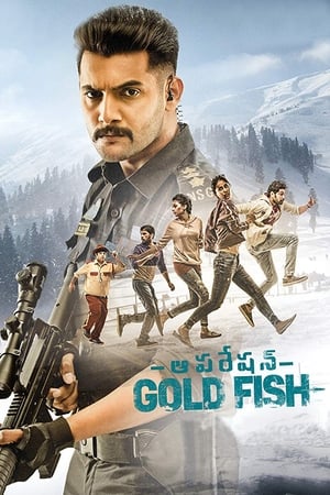 Operation Gold Fish 2019 (Hindi - Telugu) Dual Audio [1GB] HD Poster Download - Filmyzilla
