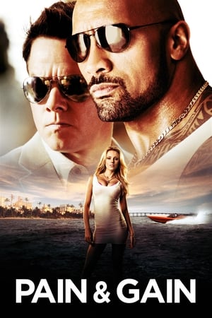 Pain & Gain 2013 Movie 100MB Buray Hindi Dual Audio HD Poster Download - Filmyzilla