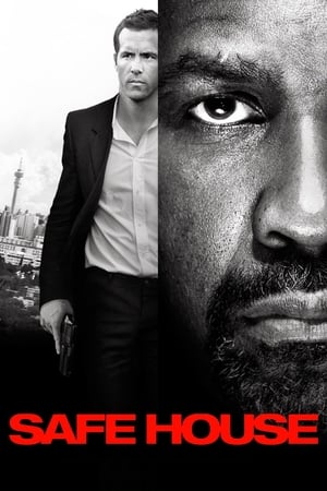 Safe House 2012 100mb Hindi Dual Audio movie Download HD Poster Download - Filmyzilla