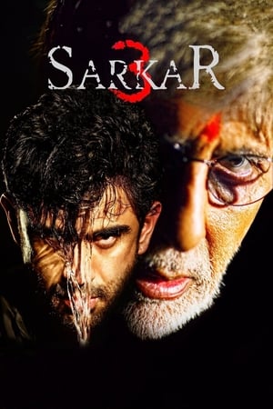 Sarkar 3 2017 Full Movie [700MB] Download HD Poster Download - Filmyzilla