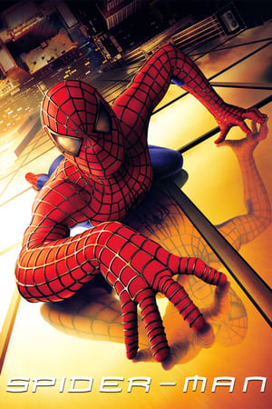 Spider Man (2002) Hindi Dual Audio [800MB] Download HD Poster Download - Filmyzilla