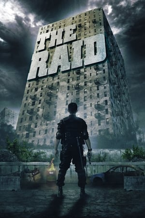 The Raid: Redemption (2011) Hindi Dual Audio 300MB ESubs HD Poster Download - Filmyzilla
